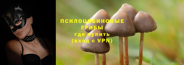 гидропоника Абдулино