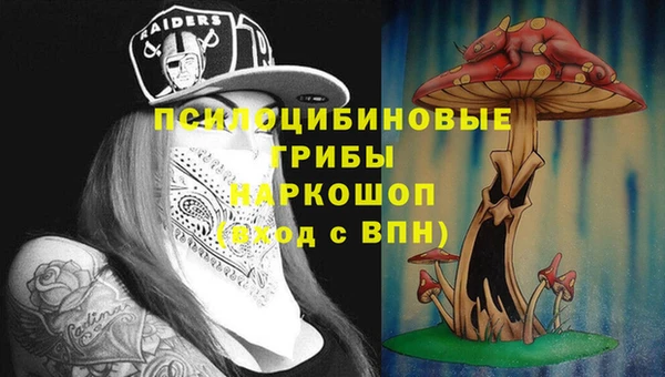 гидропоника Абдулино