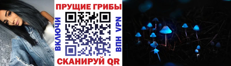 где продают   Алейск  Галлюциногенные грибы Magic Shrooms 